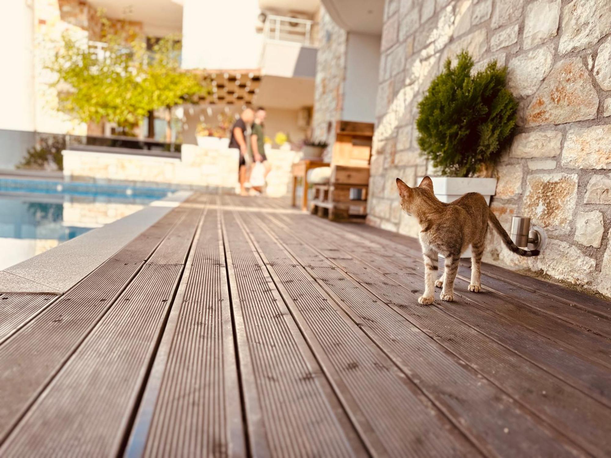 Villa Merkuri Himara Kültér fotó